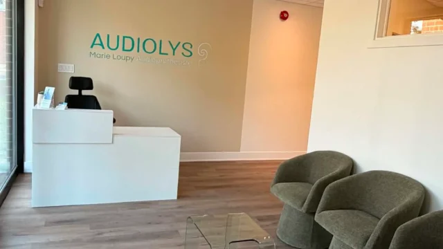 Audiolys réception